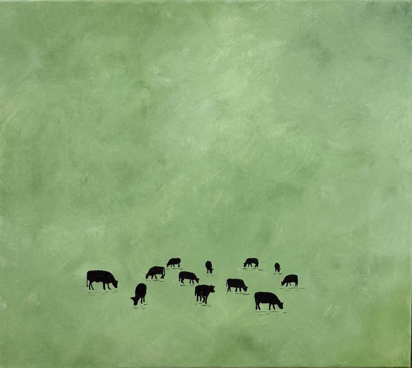 Grass fed beef