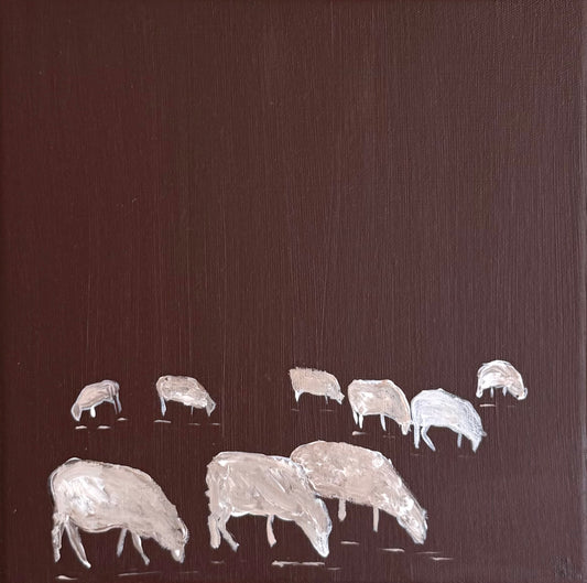 Plum sheep