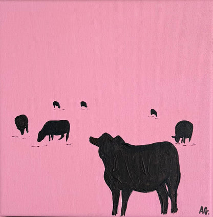Pink cattle