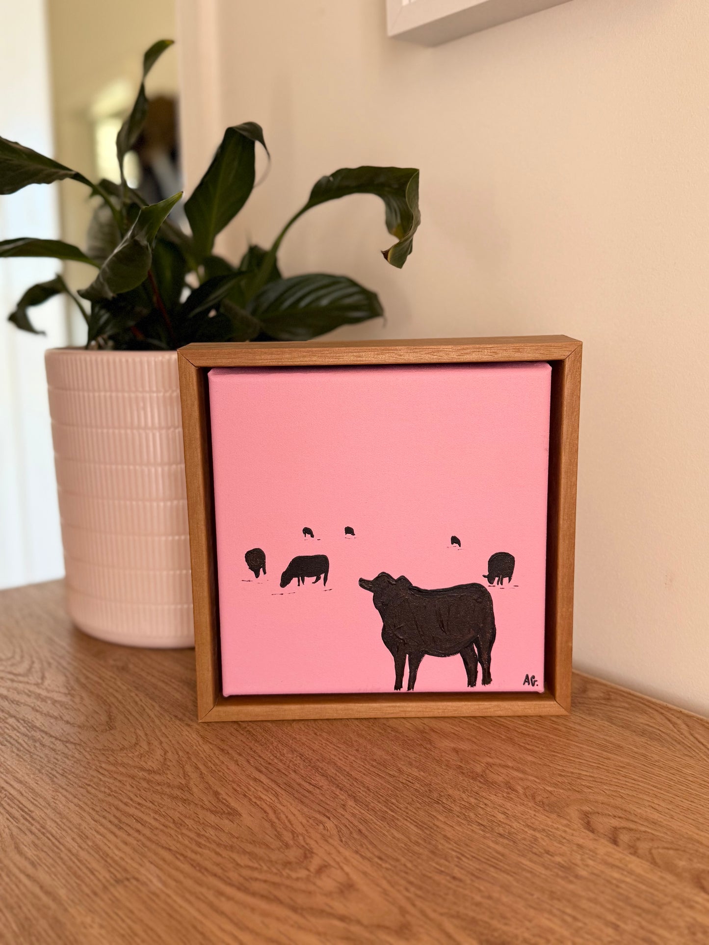 Pink cattle