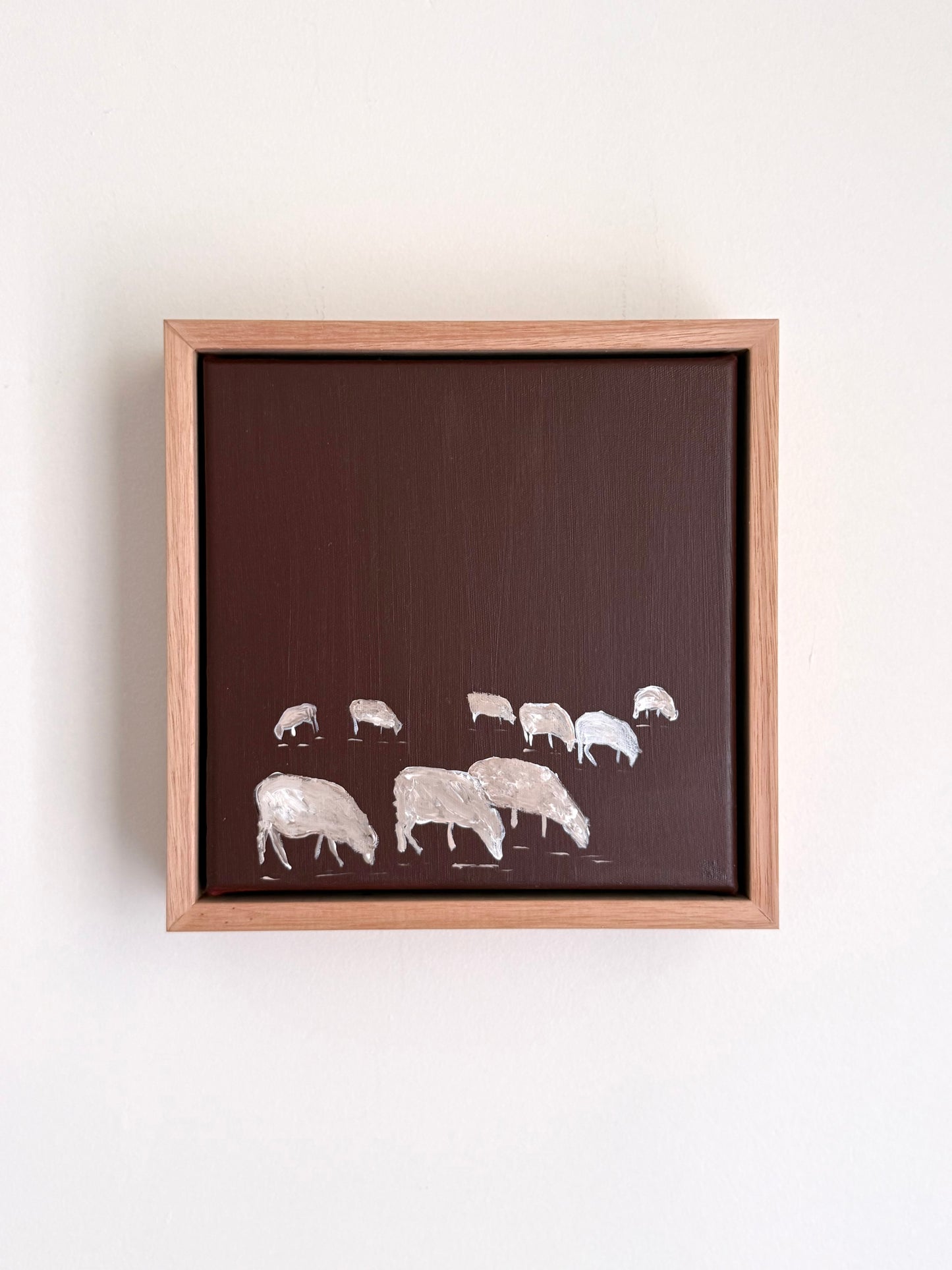 Plum sheep