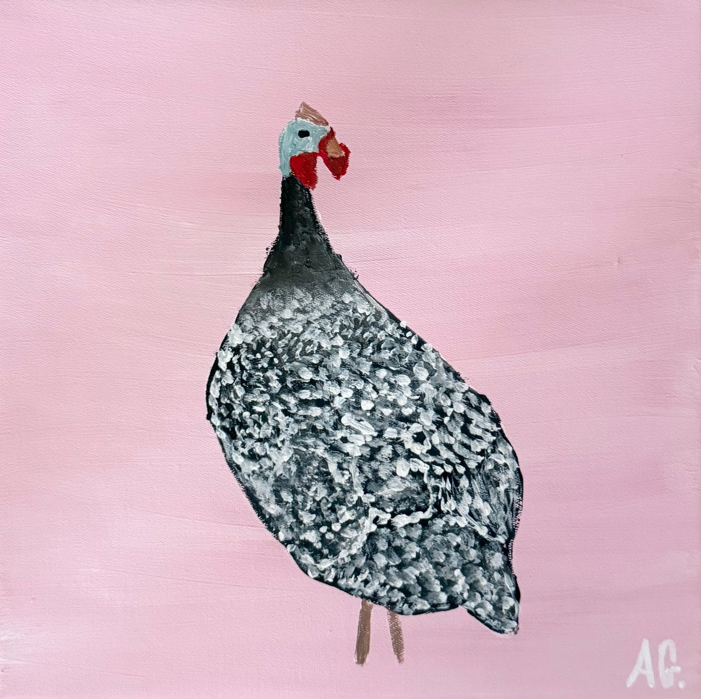 One little guinea foul