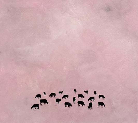 Hey look, cows!