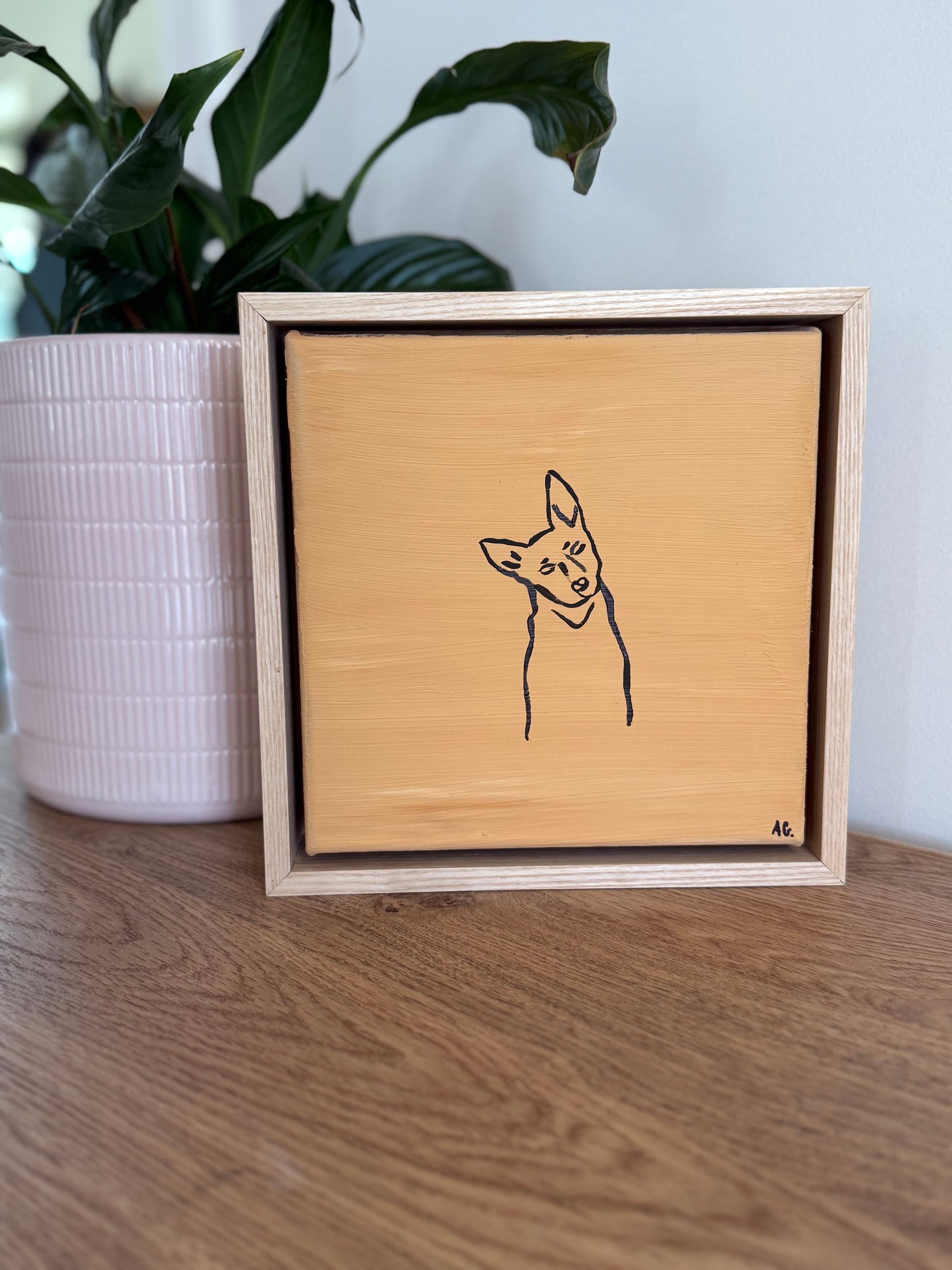 Mustard kelpie