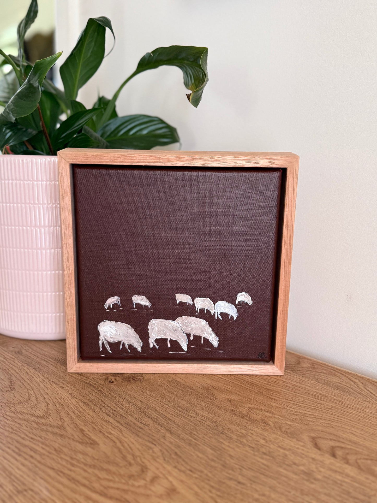 Plum sheep